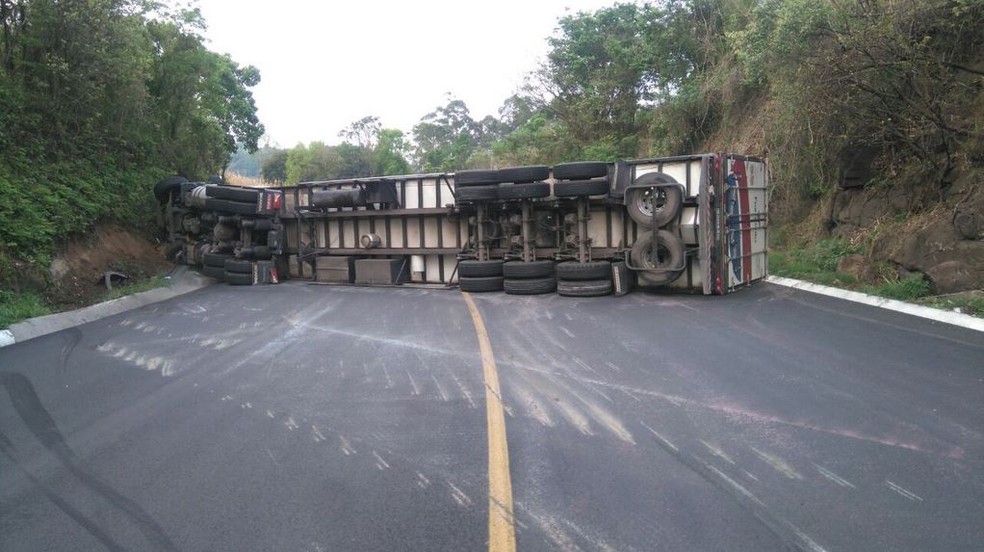 Seguro de Carga cobre saque?